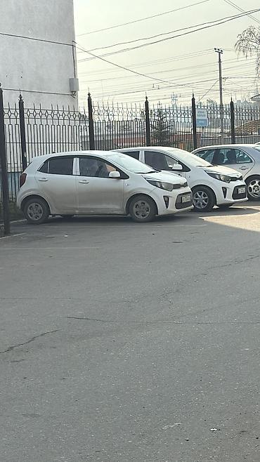 Арендага берилет киа морнинг автомат на бензин в день1300 залог at lalafo.kg — 2 Арендага берилет киа морнинг автомат на бензин в день1300 залог — 2