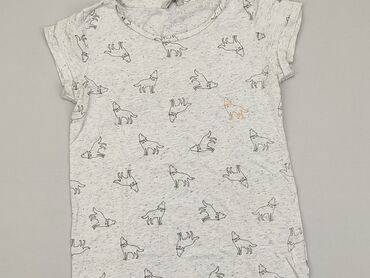 sukienki damskie house: T-shirt, House, XS, stan - Dobry