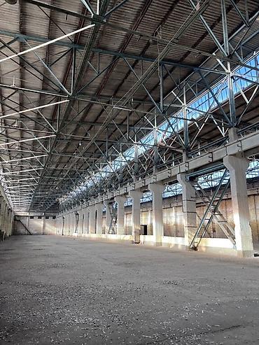 Аренда помещений свободного назначения: Сдается производственное помещение на долгий срок площадью 2000 м2 — 6