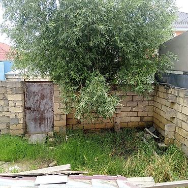 qehveyi: Təəcili satılır.Ev Mehdiabadda yerləşir.3 otaq,önünde de tikili — 6