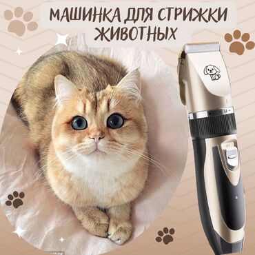 корма для кошек: Машинка для стрижки животных (машинка для груминга) В комплект