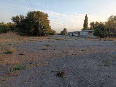 Продажа участков: 12 соток, Для строительства, Красная книга — 16