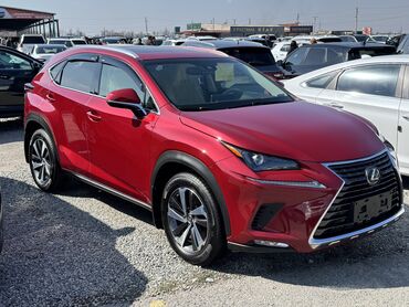 домкрат нексия: Lexus NX: 2018 г., 2 л, Автомат, Бензин, Кроссовер