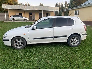 полироль авто: Nissan Almera: 2001 г., 1.5 л, Механика, Бензин, Хэтчбэк — 1