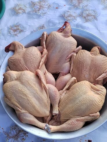 продаю мяса: Тоок 