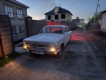 сигнал волги: ГАЗ 24 Volga: 1981 г., Механика, Бензин, Седан — 1