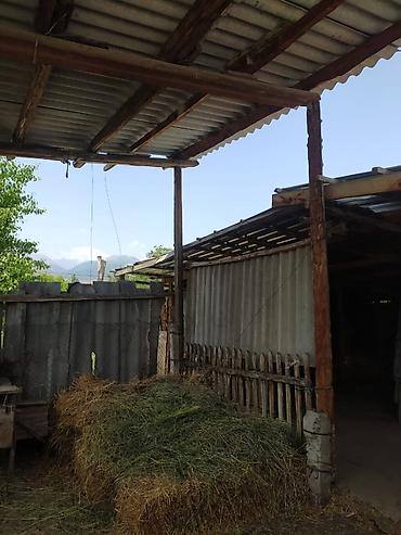 Продажа коттеджей и домов: Продаётся дом на ИссыкКуле, село Ананьево из 4-х комнат. Имеется — 7