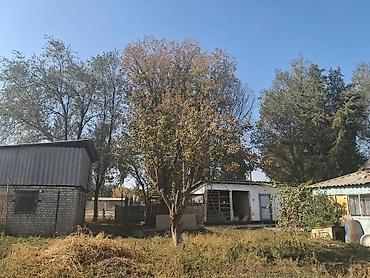 комнату с подселением аламедин 1: Продаётся жилой дом с большим приусадебным участком и хозпостройками — 3