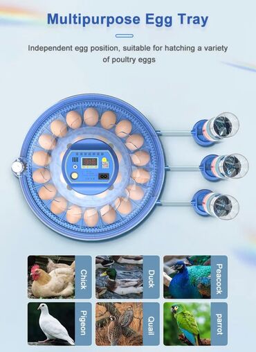 Oprema za kućne ljubimce: INKUBATOR Automatski nove generacije za 26 jaja 12v/220v — 4