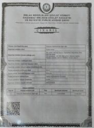 xacmazda kiraye evler 2022: 250 sot, Tikinti, Mülkiyyətçi, Kupça (Çıxarış), Texniki pasport