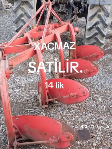 homm bitkisel azerbaycan unvani: Xacmaz