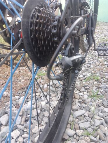 İdman velosipedləri: Yeni Dağ velosipedi 29", sürətlərin sayı: 7, Ünvandan götürmə — 7