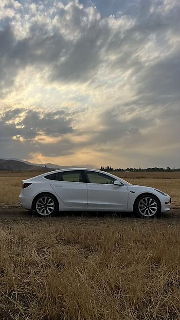 тесла модел 3: Tesla Model 3: 2020 г., Автомат, Электромобиль, Седан — 2