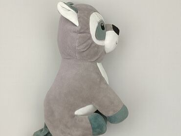Mascot condition - Perfect