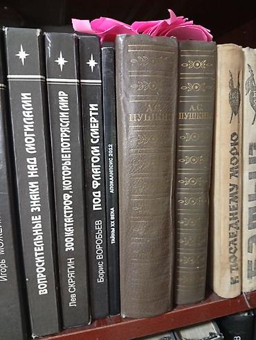 Художественная литература: Классика, На русском языке — 20