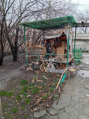 Продажа коттеджей и домов: Продаётся дом за капитальным кирпичным забором с зелёными воротами и — 5