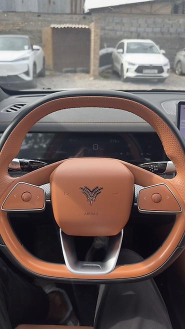 i30: Электромобиль Aion Y (кроссовер, R сетка на корме), белый цвет кузова — 10