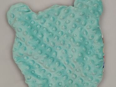 PL - Pillow 22 x 24, color - Multicolored, condition - Perfect