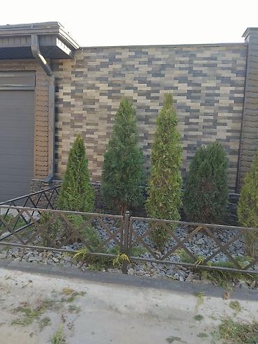 Дизайн, проектирование: Дизайн | Дома — 9