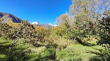 Продажа сельхоз предприятий: Питомник растений, 25 соток, Действующий, Частично с оборудованием, Без коммуникаций — 2