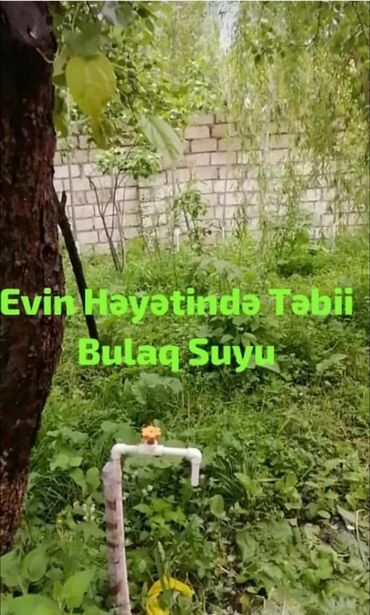 Günlük kirayə evlər: 100 kv. m, 3 otaqlı, İnternet, Telefon, Qaz — 19