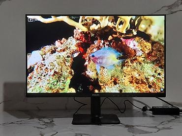 Мониторы: Монитор, Philips, Новый, LCD, 23" - 24" — 12