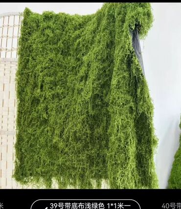 Digər bitkilər: Məhsul: Təbiətvi̇ zolaqlı yosun/mahov örtüyü – hazır plitələr Təsvir — 7