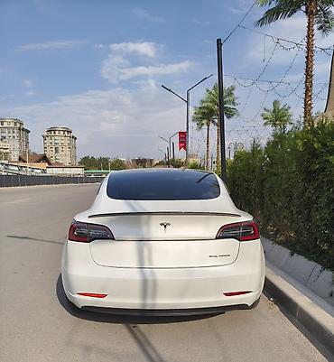 tesla p40: Tesla Model 3: 2020 г., 6.3 л, Автомат, Электромобиль, Седан — 4