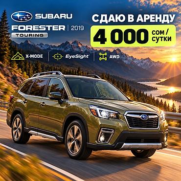 Сдаю Subaru Forester, Посуточно, Без водителя, | Залог at lalafo.kg Сдаю Subaru Forester, Посуточно, Без водителя, | Залог