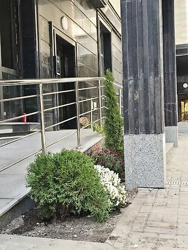 Продажа квартир: 2 комнаты, 78 м², Асанбай мкр Элитка, 10 этаж — 15