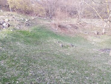 xacmazda satilan torpaqlar: 20 соток, Для бизнеса, Риэлтор, Купчая, Договор