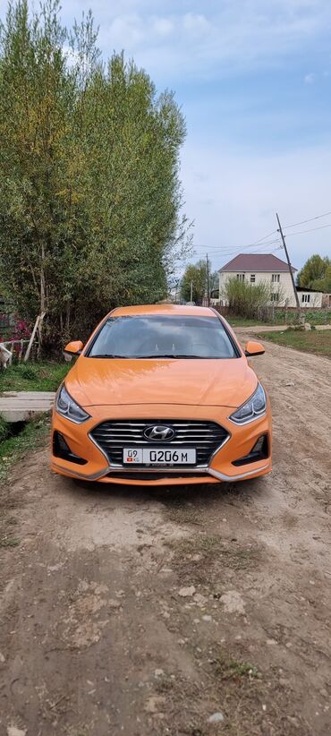 хендай hd 65: Hyundai Sonata: 2018 г., 2 л, Автомат, Газ, Седан