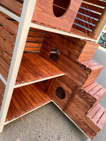 Yuvalar: Pişik evləri sifarişlər həm ev üçün həm heyət üçün ölçüsünə və — 4