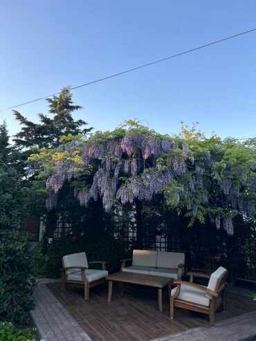 Həyət evləri və villaların satışı: Şüvəlan qəs. 5 otaqlı, 423 kv. m, Yeni təmirli — 19