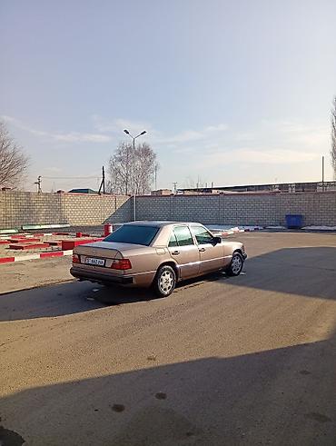 Mercedes-Benz: Mercedes-Benz W124: 1993 г., Седан — 5