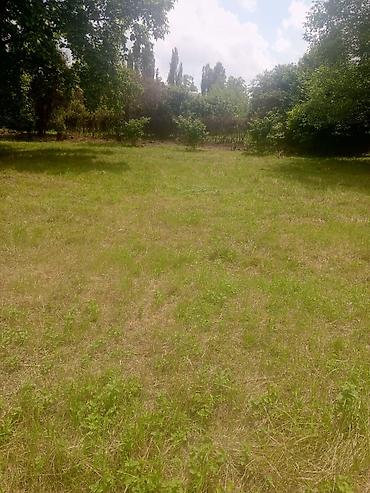 ucuz ev satıram: 8 sot, Tikinti, Mülkiyyətçi, Kupça (Çıxarış), Müqavilə — 1