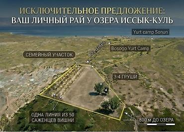 40 соток, Красная книга