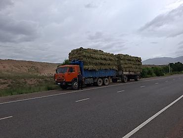 соль лизунец для животных: Сено в тюках (луговое/разнотравье) - Заготовка в тюках, аккуратная — 2