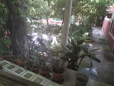 Günlük kirayə mənzillər: 5 otaqlı -da lalafo.az — 17 Günlük kirayə mənzillər: 5 otaqlı — 17