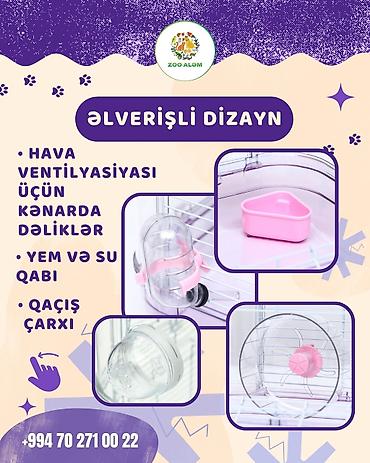 cunqarikler: Xamyak və cunqariq qəfəsi. Xomyak və cunqarikləriniz üçün maraqlı — 9