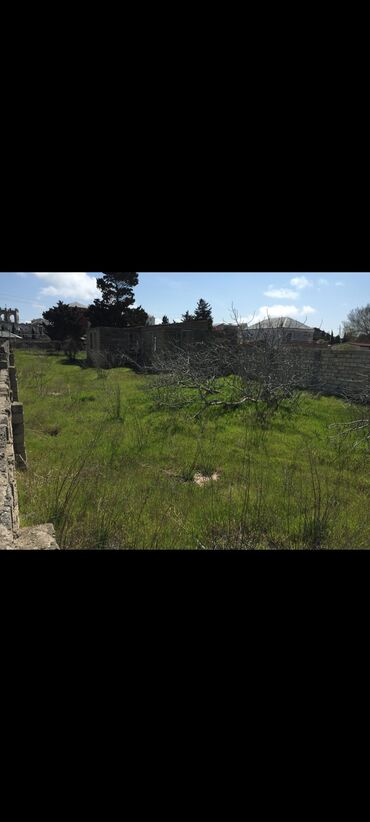 bınede torpaq satılır: Tikinti