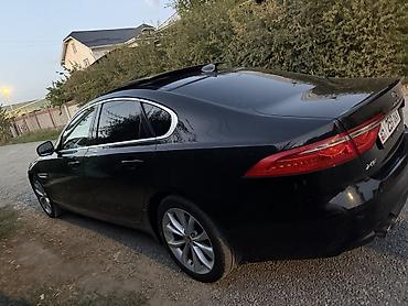 ягуар машина купить: Jaguar XF: 2018 г., 2 л, Автомат, Дизель, Седан — 7