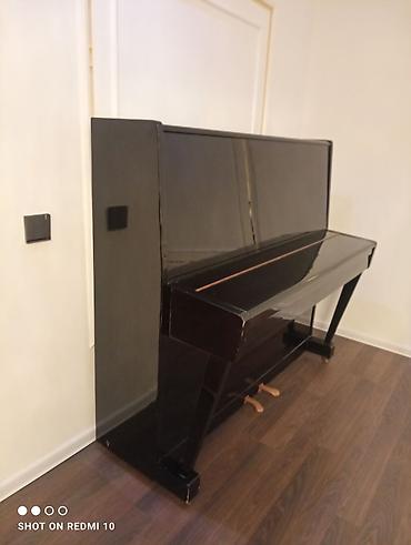 Pianolar: Piano, Belarus, Akustik — 8