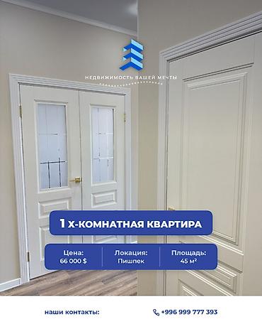 1 комната, 45 м², Пишпек Элитка, 8 этаж, Евроремонт