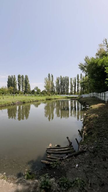 Torpaq sahələrinin satışı: 185 sot, Mülkiyyətçi, Kupça (Çıxarış) — 17