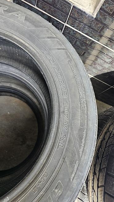 Шины: Комплект летних шин 235/60 R18 107V XL (M+S) - Размер: 235/60 R18 - — 4
