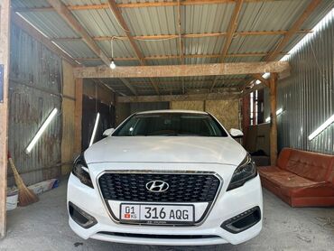 Другой тюнинг: Тонировка, полировка фар и оклеивание кузова Номер Адрес  — 9