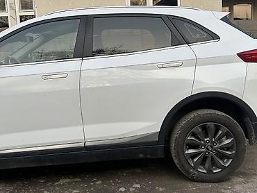 Weltmeister: Weltmeister EX5, 2021 г., В наличии — 5