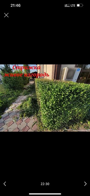 Дворники, садовники: 🌱Я Садовник Стрижка Живой изгородь,самшит,Туи,хвойные растения, Я — 21