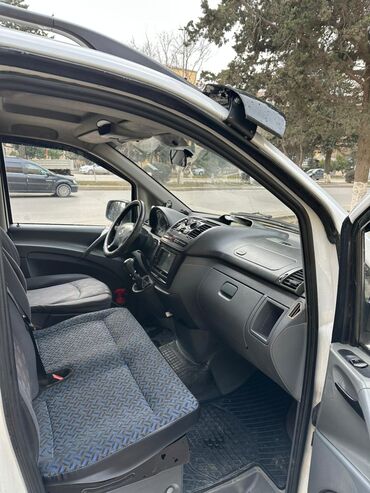 Mercedes-Benz: Mercedes-Benz Vito mikroavtobus - Kuzov: ağ rəng, qara kapot örtüyü — 2